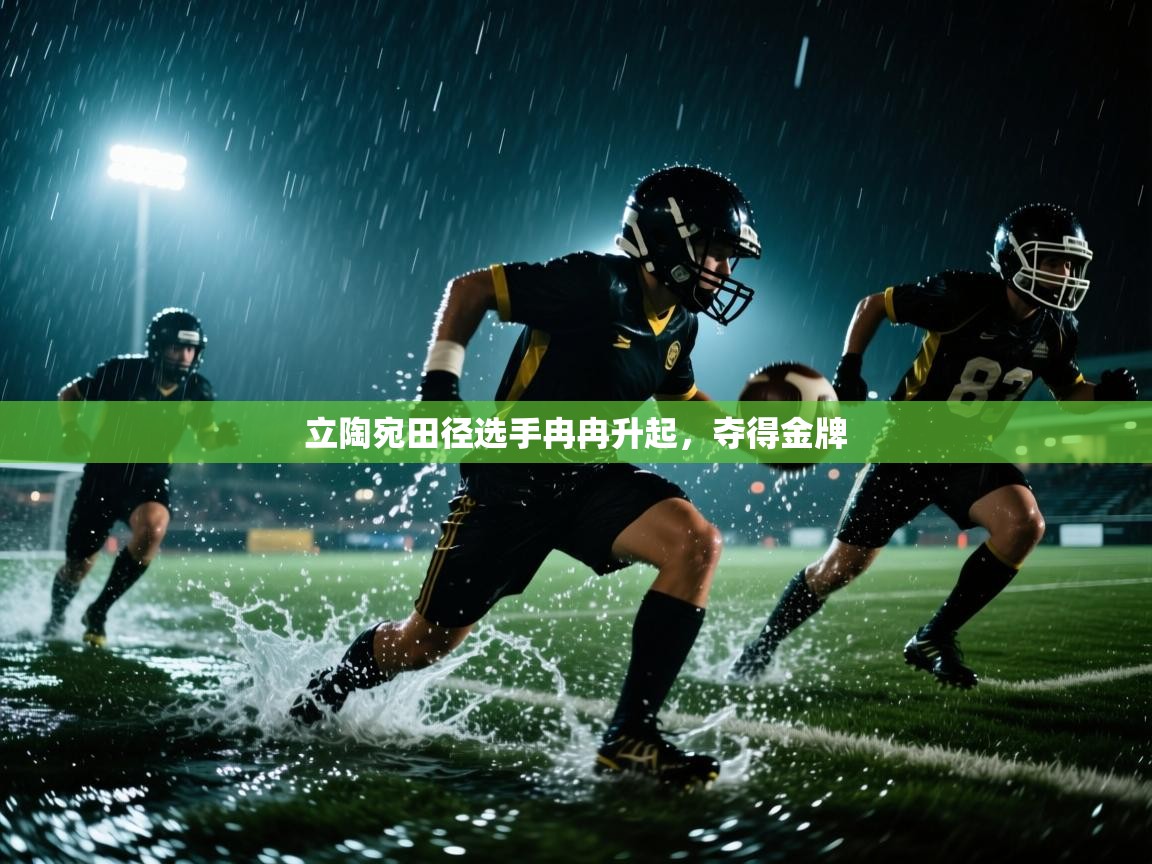 立陶宛田径选手冉冉升起，夺得金牌  第2张